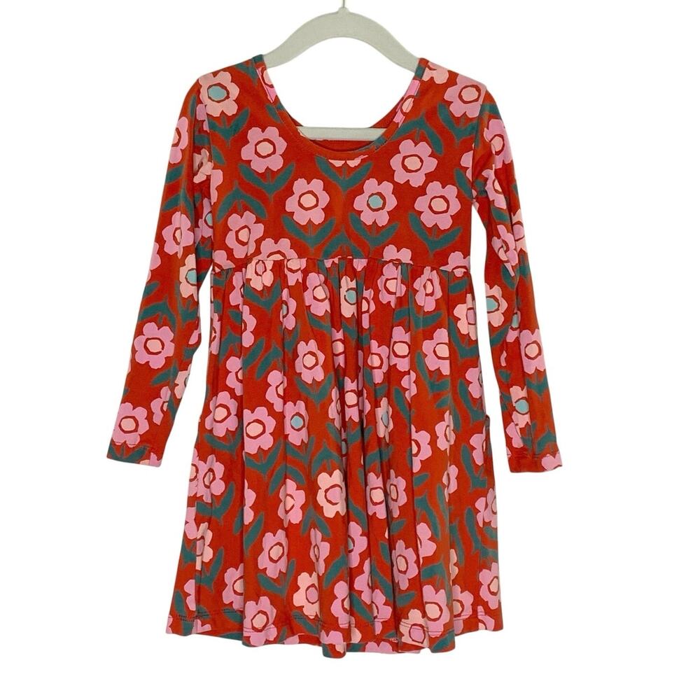 Hanna Andersson Long Sleeve Skater Dress 4 Cute Cosmos Floral Print Pink